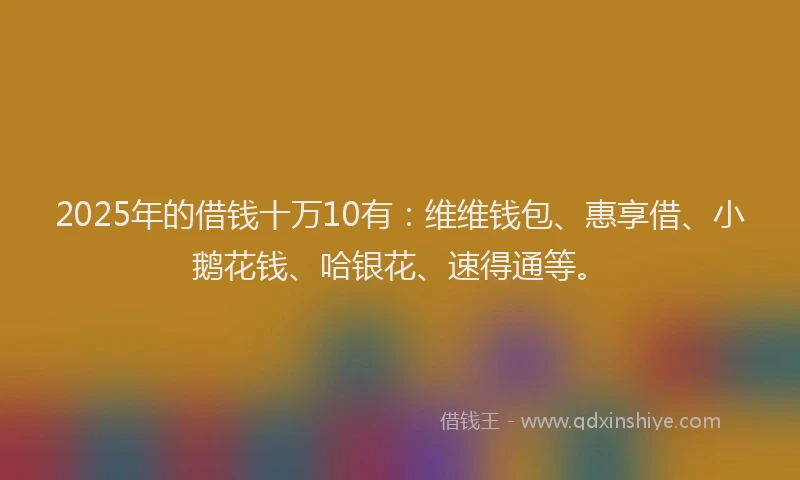 2025年的借钱十万10有：维维钱包、惠享借、小鹅花钱、哈银花、速得通等。