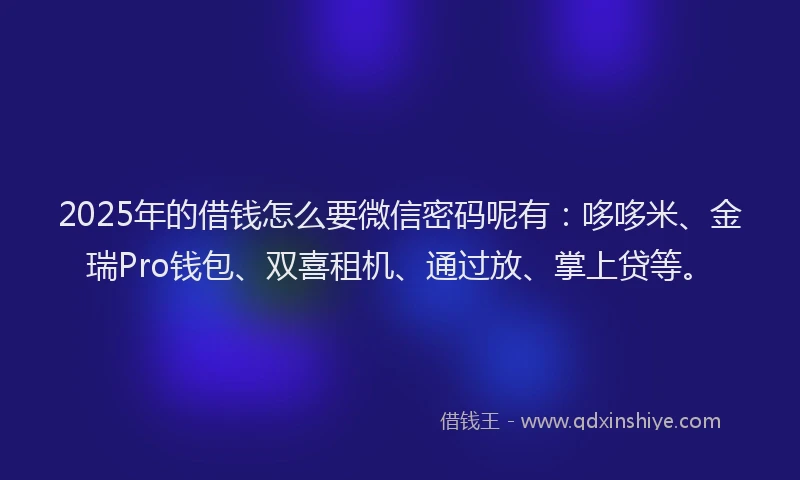 2025年的借钱怎么要微信密码呢有：哆哆米、金瑞Pro钱包、双喜租机、通过放、掌上贷等。