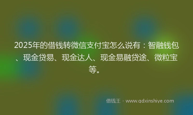 2025年的借钱转微信支付宝怎么说有：智融钱包、现金贷易、现金达人、现金易融贷途、微粒宝等。