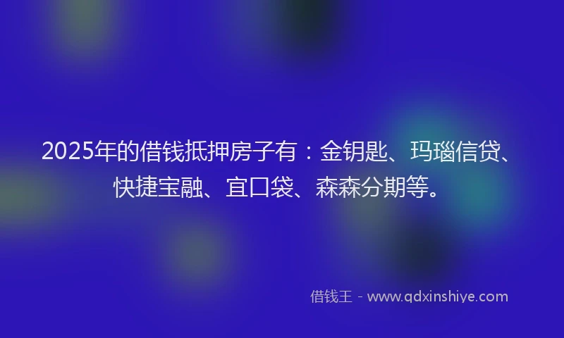 2025年的借钱抵押房子有：金钥匙、玛瑙信贷、快捷宝融、宜口袋、森森分期等。