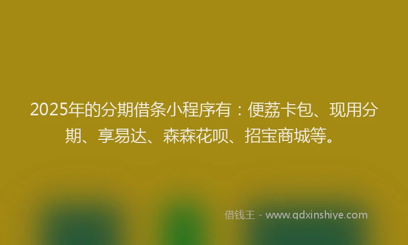 2025年的分期借条小程序有：便荔卡包、现用分期、享易达、森森花呗、招宝商城等。