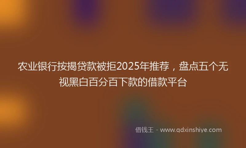 农业银行按揭贷款被拒2025年推荐，盘点五个无视黑白百分百下款的借款平台