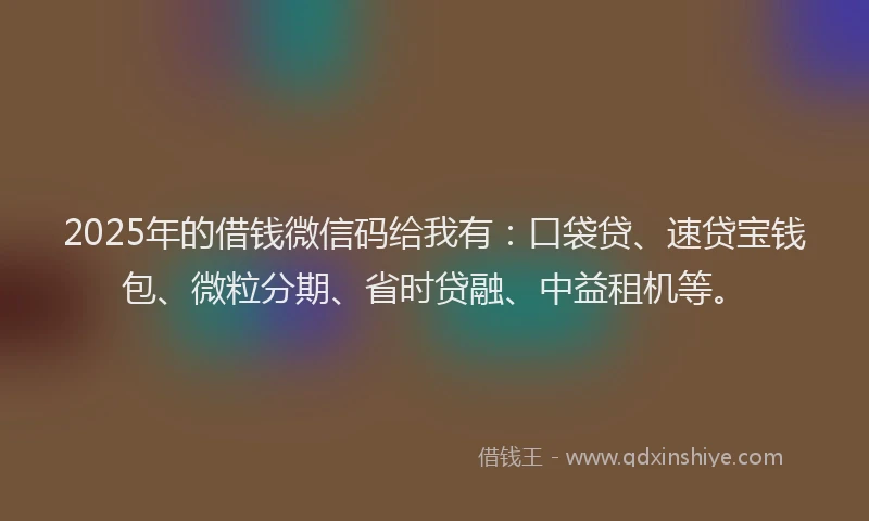 2025年的借钱微信码给我有：口袋贷、速贷宝钱包、微粒分期、省时贷融、中益租机等。