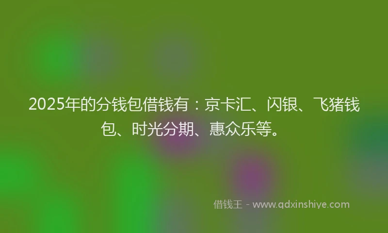 2025年的分钱包借钱有：京卡汇、闪银、飞猪钱包、时光分期、惠众乐等。