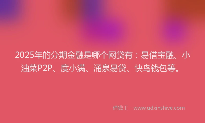 2025年的分期金融是哪个网贷有：易借宝融、小油菜P2P、度小满、涌泉易贷、快鸟钱包等。
