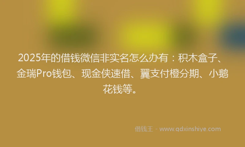 2025年的借钱微信非实名怎么办有：积木盒子、金瑞Pro钱包、现金侠速借、翼支付橙分期、小鹅花钱等。