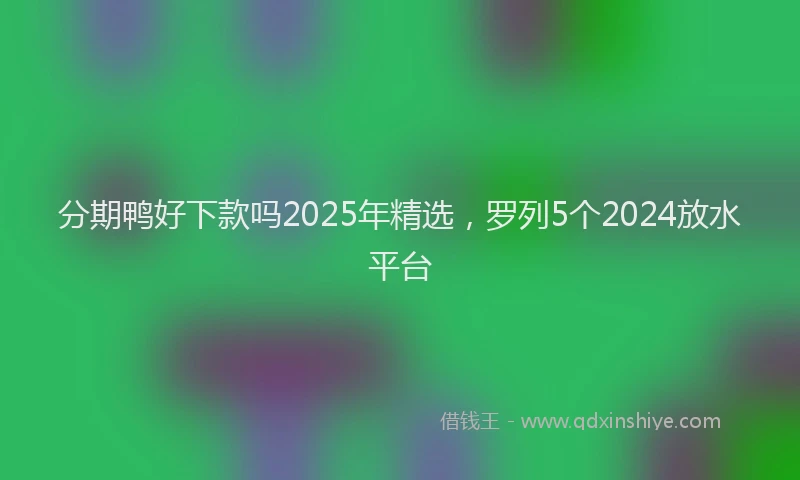 分期鸭好下款吗2025年精选，罗列5个2024放水平台