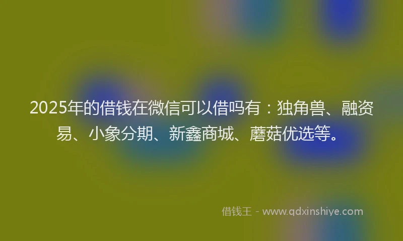 2025年的借钱在微信可以借吗有：独角兽、融资易、小象分期、新鑫商城、蘑菇优选等。