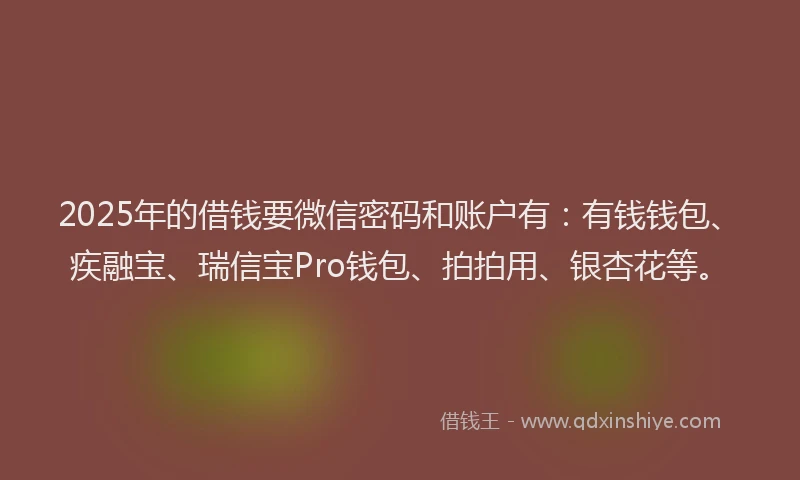 2025年的借钱要微信密码和账户有：有钱钱包、疾融宝、瑞信宝Pro钱包、拍拍用、银杏花等。