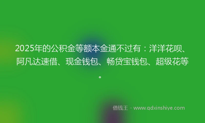 2025年的公积金等额本金通不过有：洋洋花呗、阿凡达速借、现金钱包、畅贷宝钱包、超级花等。