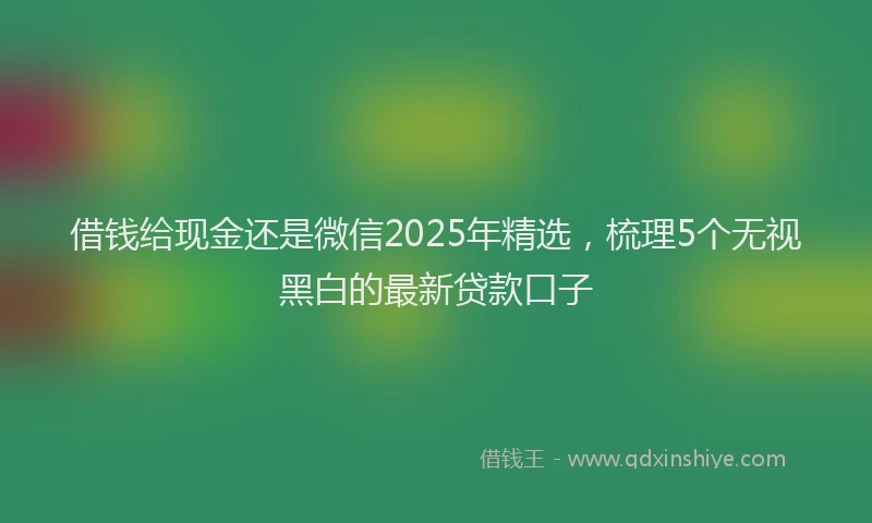 借钱给现金还是微信2025年精选，梳理5个无视黑白的最新贷款口子