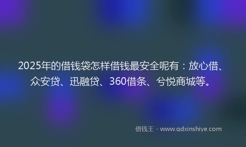 2025年的借钱袋怎样借钱最安全呢有：放心借、众安贷、迅融贷、360借条、兮悦商城等。