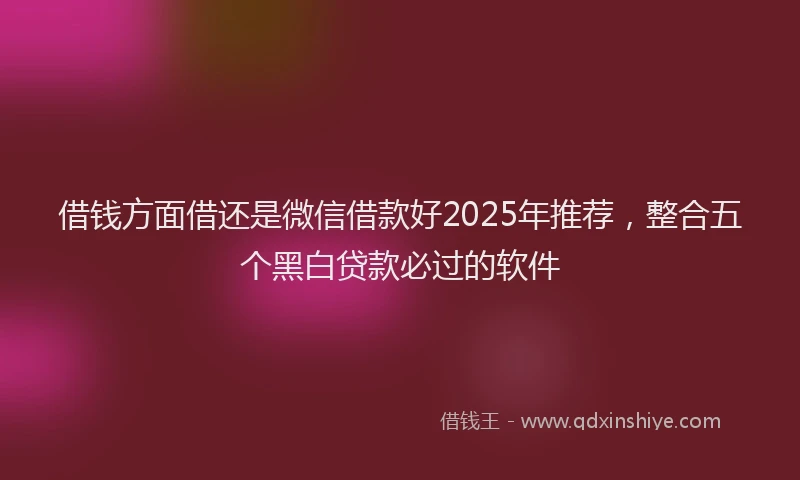 借钱方面借还是微信借款好2025年推荐，整合五个黑白贷款必过的软件