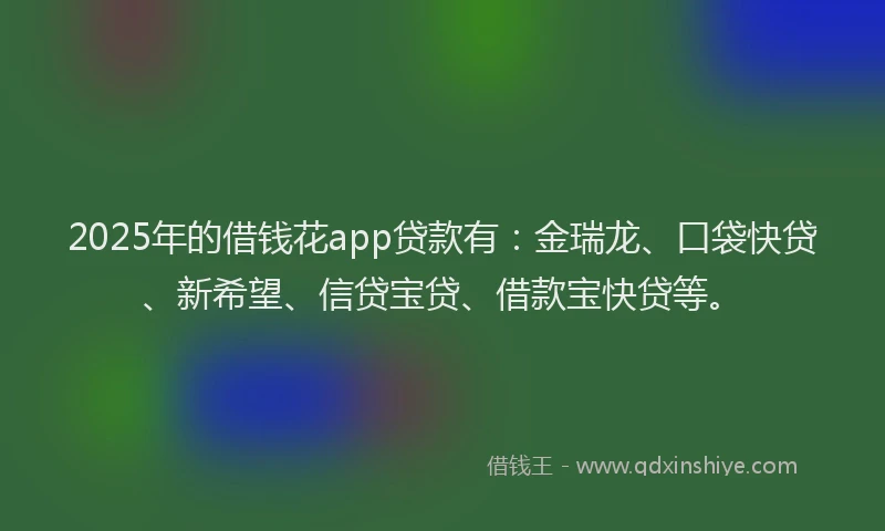 2025年的借钱花app贷款有：金瑞龙、口袋快贷、新希望、信贷宝贷、借款宝快贷等。