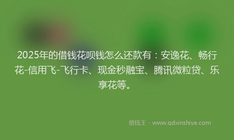 2025年的借钱花呗钱怎么还款有：安逸花、畅行花-信用飞-飞行卡、现金秒融宝、腾讯微粒贷、乐享花等。