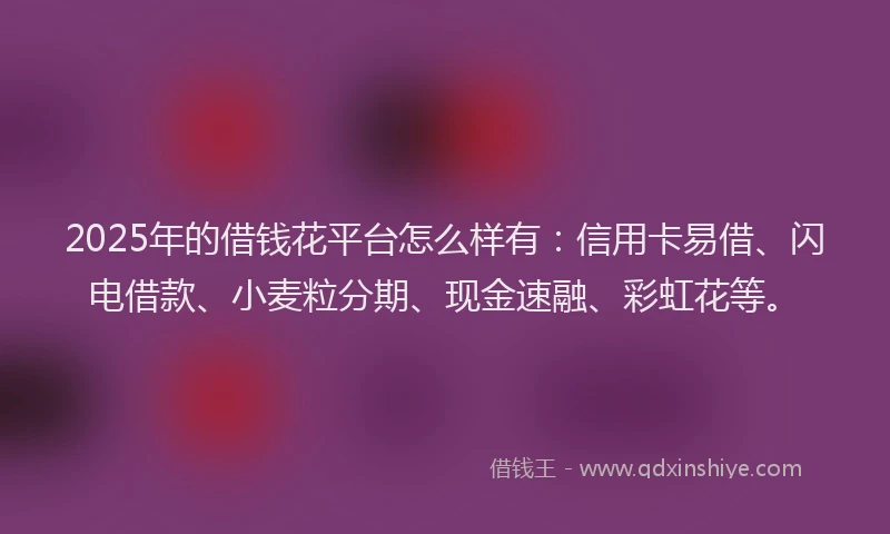 2025年的借钱花平台怎么样有：信用卡易借、闪电借款、小麦粒分期、现金速融、彩虹花等。