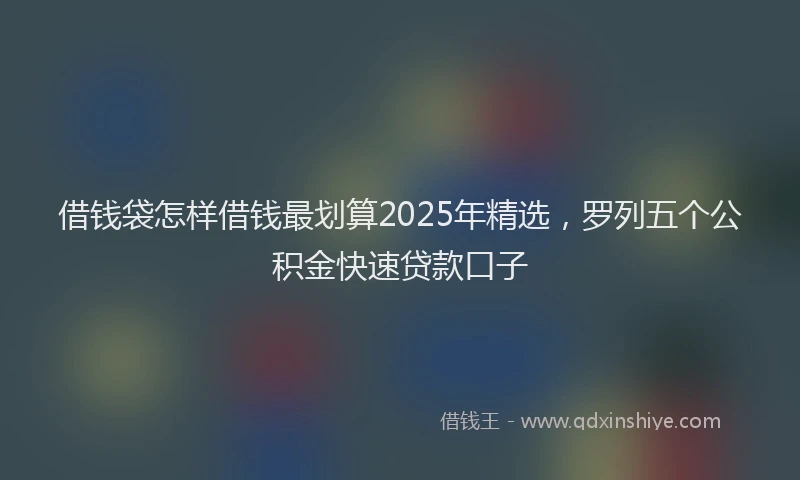 借钱袋怎样借钱最划算2025年精选，罗列五个公积金快速贷款口子