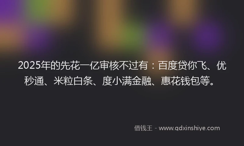 2025年的先花一亿审核不过有：百度贷你飞、优秒通、米粒白条、度小满金融、惠花钱包等。