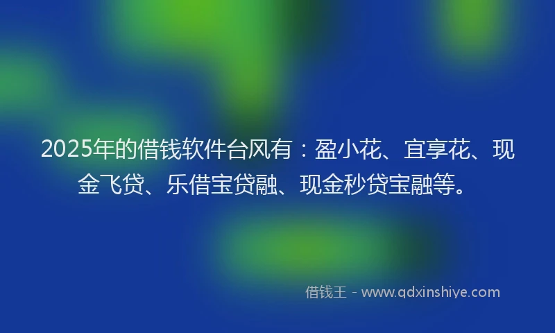 2025年的借钱软件台风有：盈小花、宜享花、现金飞贷、乐借宝贷融、现金秒贷宝融等。