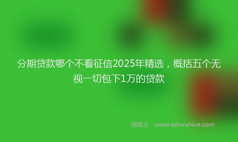 分期贷款哪个不看征信2025年精选，概括五个无视一切包下1万的贷款