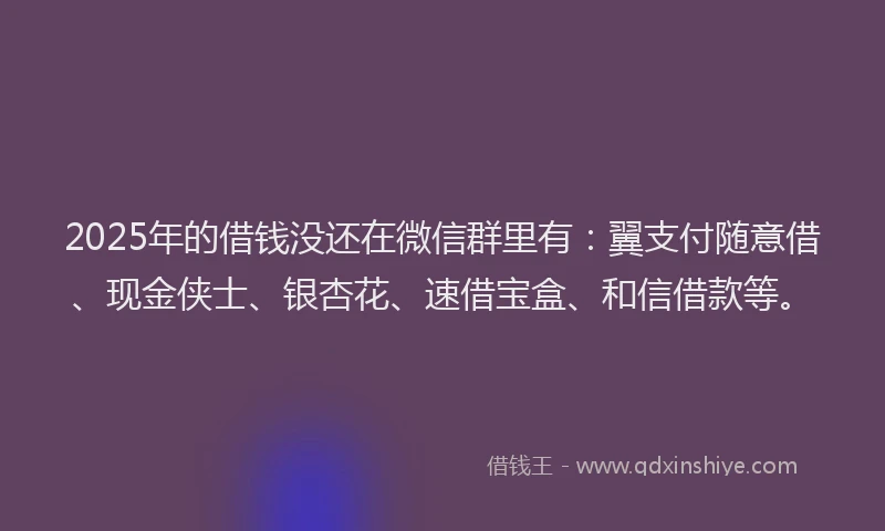 2025年的借钱没还在微信群里有：翼支付随意借、现金侠士、银杏花、速借宝盒、和信借款等。