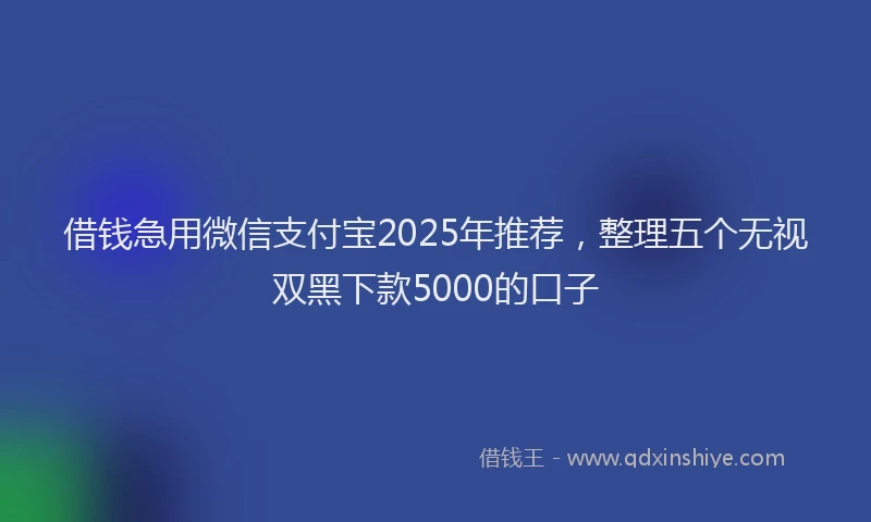 借钱急用微信支付宝2025年推荐，整理五个无视双黑下款5000的口子