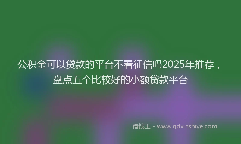 公积金可以贷款的平台不看征信吗2025年推荐，盘点五个比较好的小额贷款平台