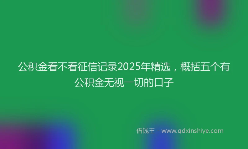 公积金看不看征信记录2025年精选，概括五个有公积金无视一切的口子