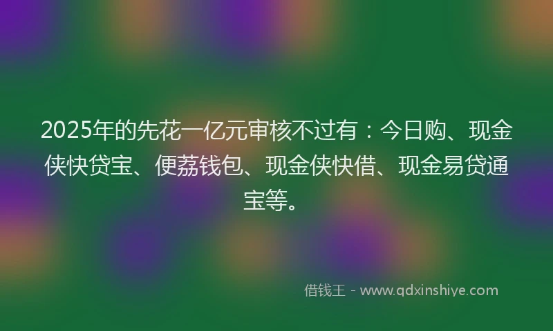 2025年的先花一亿元审核不过有：今日购、现金侠快贷宝、便荔钱包、现金侠快借、现金易贷通宝等。