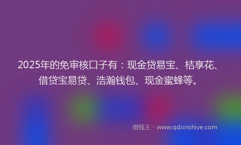 2025年的免审核口子有：现金贷易宝、桔享花、借贷宝易贷、浩瀚钱包、现金蜜蜂等。