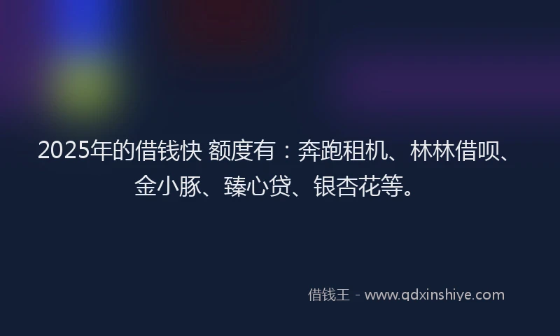 2025年的借钱快 额度有：奔跑租机、林林借呗、金小豚、臻心贷、银杏花等。