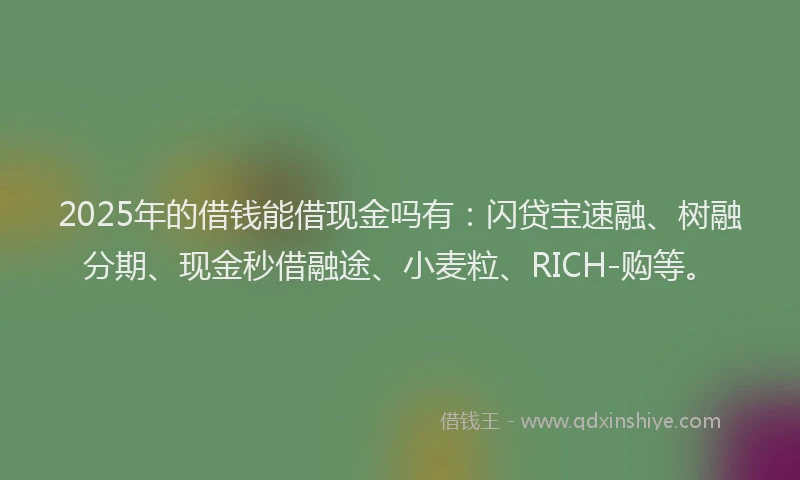 2025年的借钱能借现金吗有：闪贷宝速融、树融分期、现金秒借融途、小麦粒、RICH-购等。