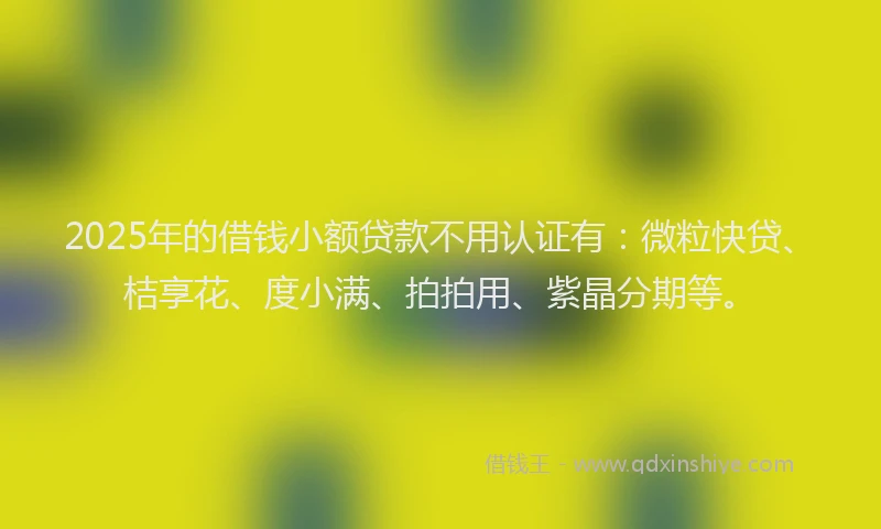 2025年的借钱小额贷款不用认证有：微粒快贷、桔享花、度小满、拍拍用、紫晶分期等。