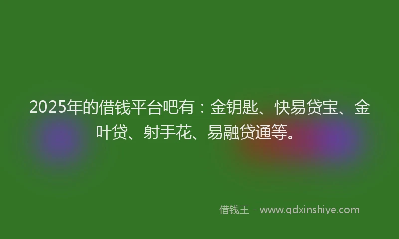 2025年的借钱平台吧有：金钥匙、快易贷宝、金叶贷、射手花、易融贷通等。