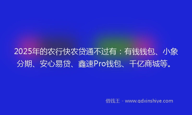 2025年的农行快农贷通不过有：有钱钱包、小象分期、安心易贷、鑫速Pro钱包、千亿商城等。