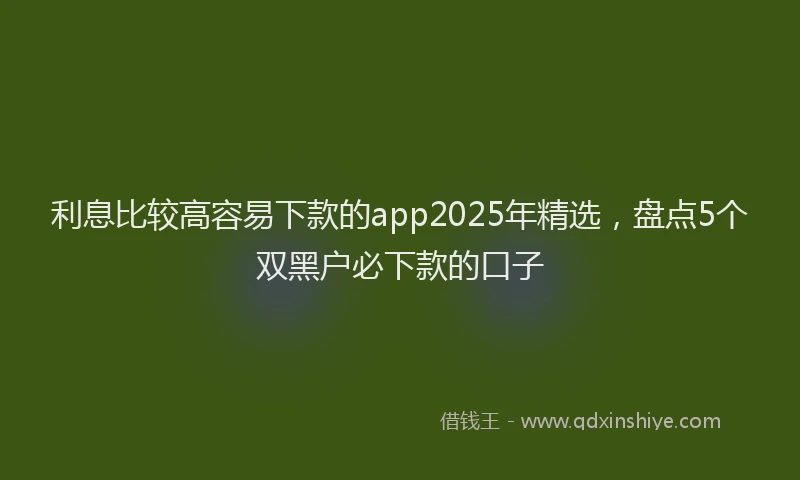 利息比较高容易下款的app2025年精选，盘点5个双黑户必下款的口子