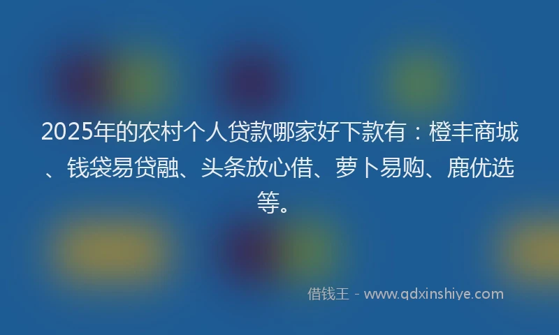 2025年的农村个人贷款哪家好下款有：橙丰商城、钱袋易贷融、头条放心借、萝卜易购、鹿优选等。