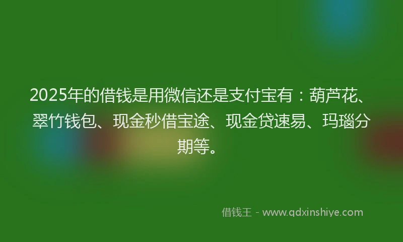 2025年的借钱是用微信还是支付宝有：葫芦花、翠竹钱包、现金秒借宝途、现金贷速易、玛瑙分期等。