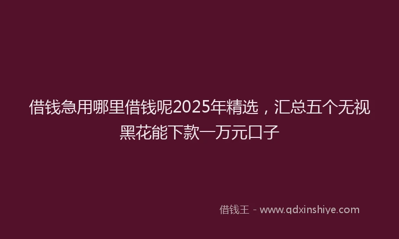 借钱急用哪里借钱呢2025年精选，汇总五个无视黑花能下款一万元口子