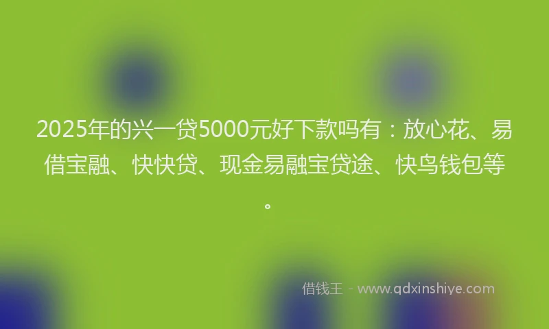 2025年的兴一贷5000元好下款吗有：放心花、易借宝融、快快贷、现金易融宝贷途、快鸟钱包等。