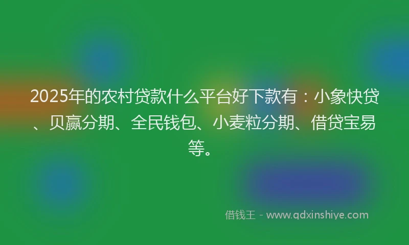 2025年的农村贷款什么平台好下款有：小象快贷、贝赢分期、全民钱包、小麦粒分期、借贷宝易等。