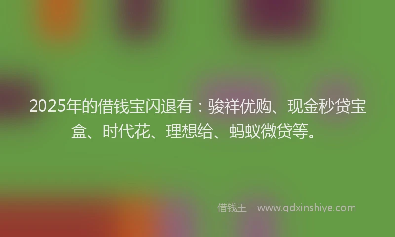 2025年的借钱宝闪退有：骏祥优购、现金秒贷宝盒、时代花、理想给、蚂蚁微贷等。