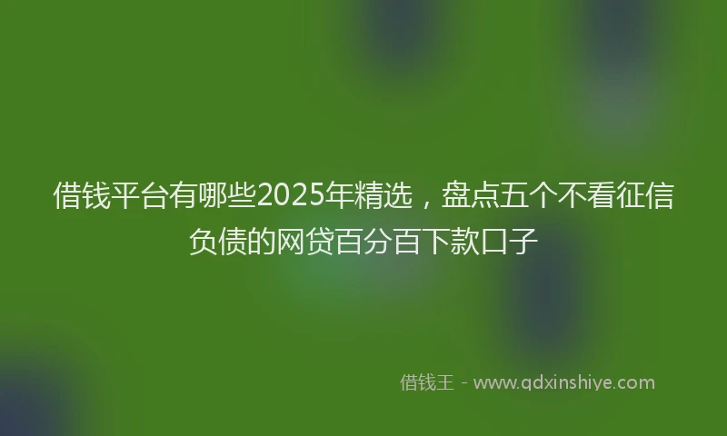 借钱平台有哪些2025年精选，盘点五个不看征信负债的网贷百分百下款口子
