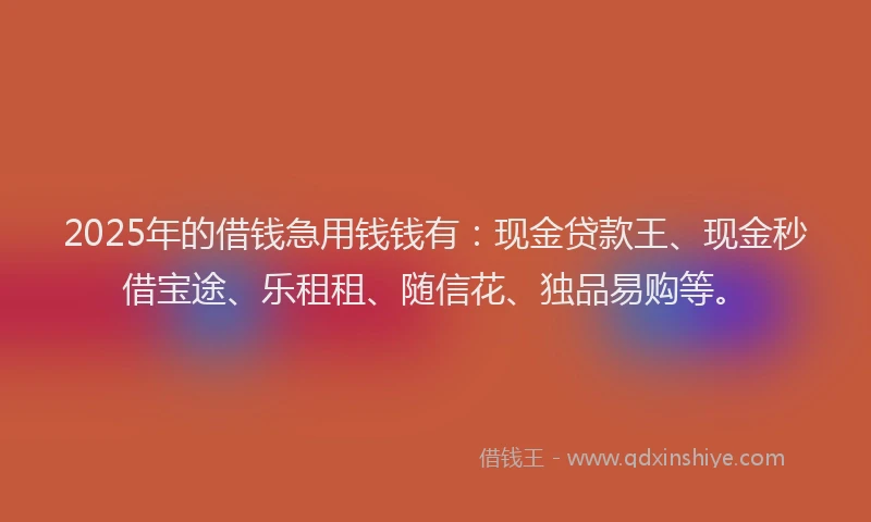 2025年的借钱急用钱钱有：现金贷款王、现金秒借宝途、乐租租、随信花、独品易购等。