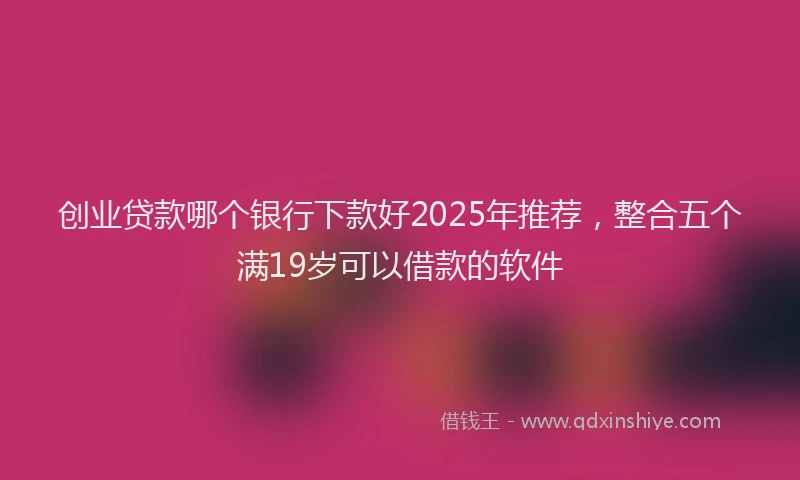 创业贷款哪个银行下款好2025年推荐，整合五个满19岁可以借款的软件