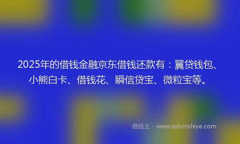 2025年的借钱金融京东借钱还款有：翼贷钱包、小熊白卡、借钱花、瞬信贷宝、微粒宝等。