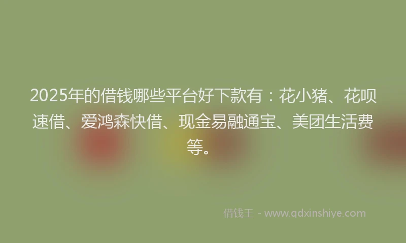 2025年的借钱哪些平台好下款有：花小猪、花呗速借、爱鸿森快借、现金易融通宝、美团生活费等。