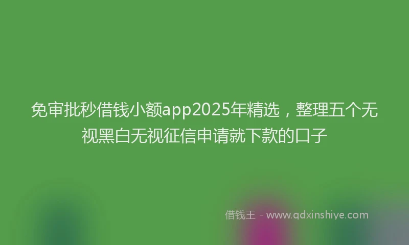 免审批秒借钱小额app2025年精选，整理五个无视黑白无视征信申请就下款的口子