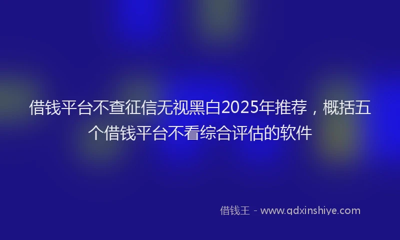 借钱平台不查征信无视黑白2025年推荐，概括五个借钱平台不看综合评估的软件