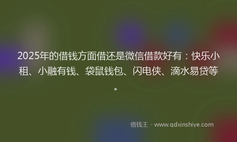 2025年的借钱方面借还是微信借款好有：快乐小租、小融有钱、袋鼠钱包、闪电侠、滴水易贷等。